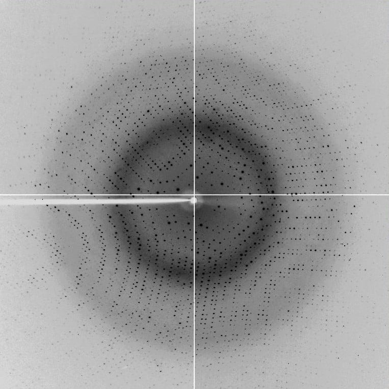 Imagem de um resultado de cristalografia (utilizando técnicas antigas): os pontos negros representam os "desvios" sofridos pelos raios X ao se chocarem com o cristal analisado.