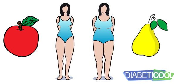 Como seu corpo acumula gordura? No estilo "maçã" ou no estilo "pêra"?