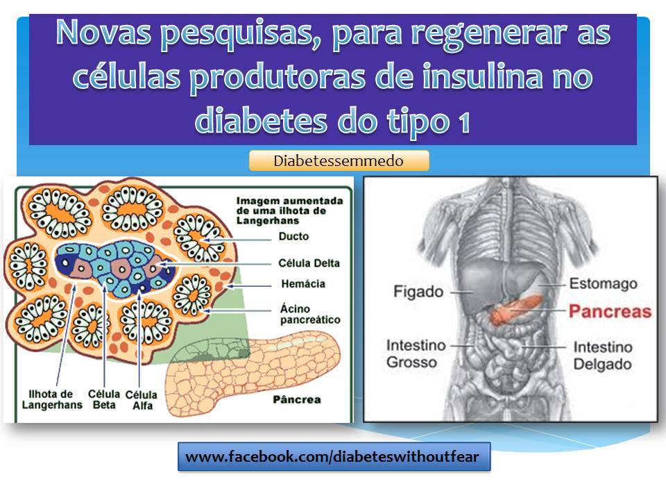diabetes sem medo regeneração células beta diabetes