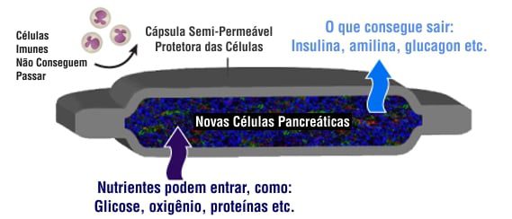 encaptra vc-01 diabetes