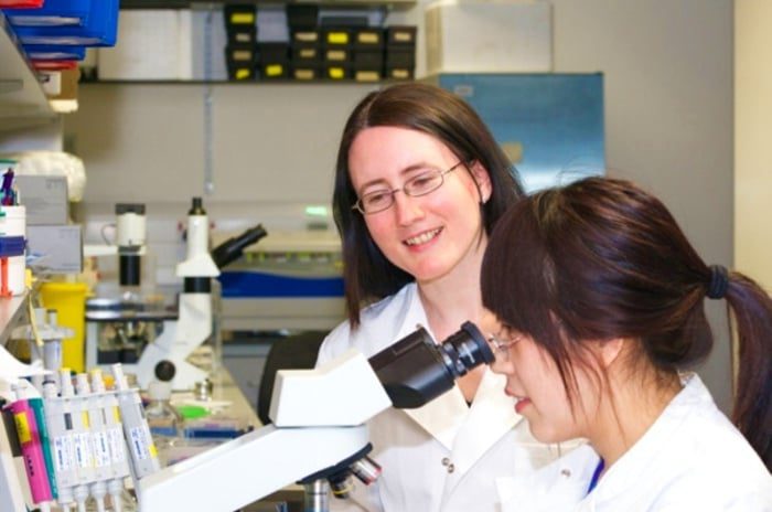 pesquisa lucy walker diabetes 2