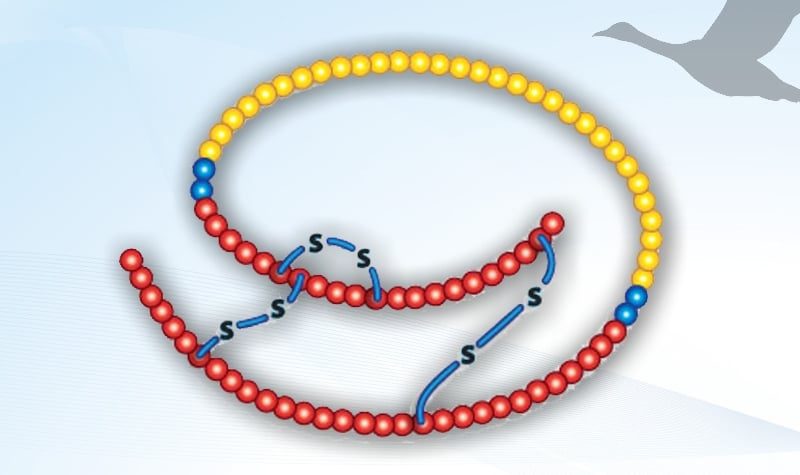 peptideo c ronaldo wieselberg